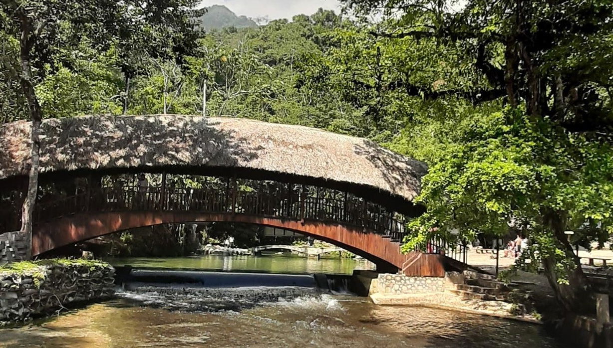 Santa Elena Reserve + Tioyacu River Private Tour