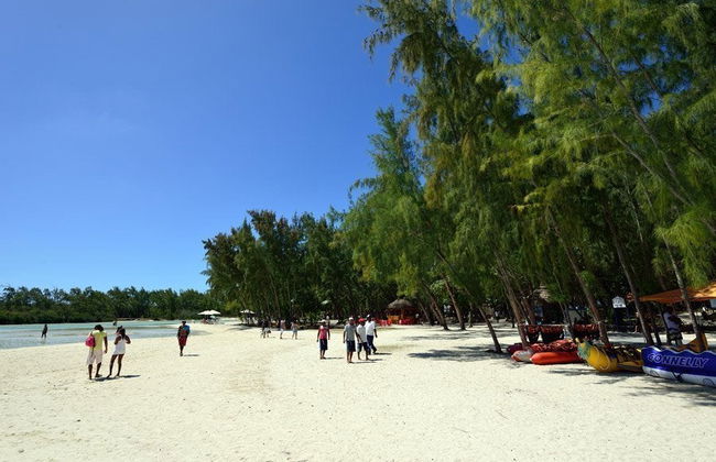 Excursão à Ilha dos Cervos - Foto 3