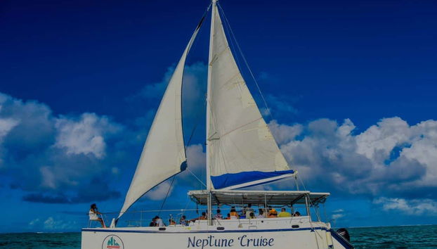 Excursión a la Isla de los Ciervos - Foto 4