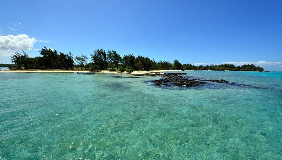 Excursión a la Isla de los Ciervos - Foto 1