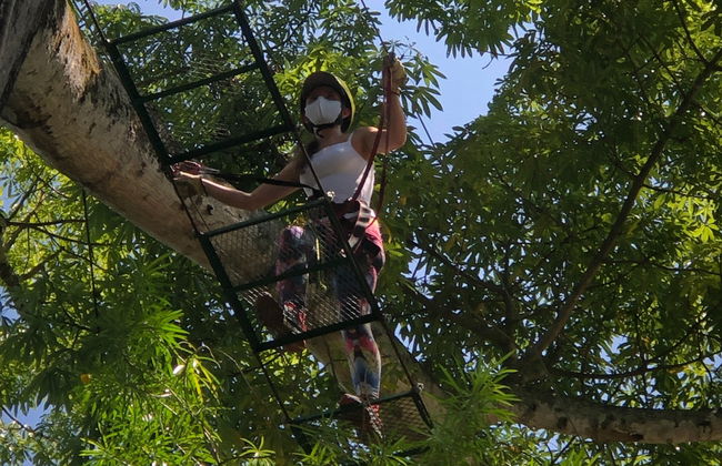 Zip-line, Suspension Bridge + Abseiling in Útica - Photo 4