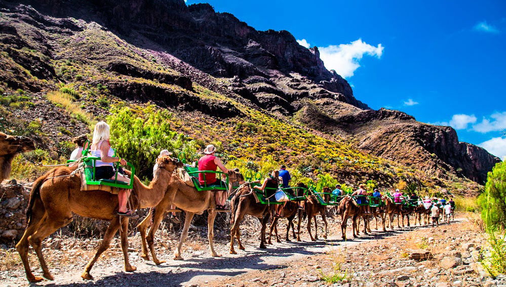 Gran Canaria Camel Ride Tour - Photo 1