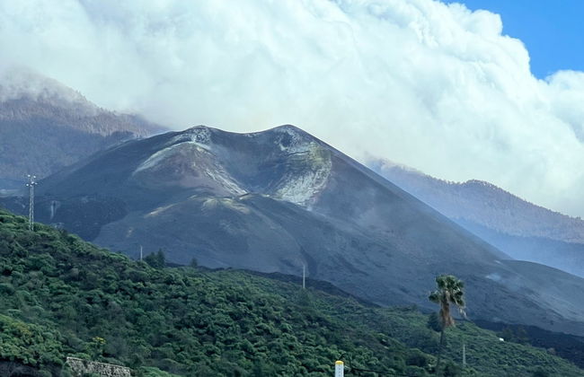 Excursión a La Palma + Volcán Tajogaite - Foto 4