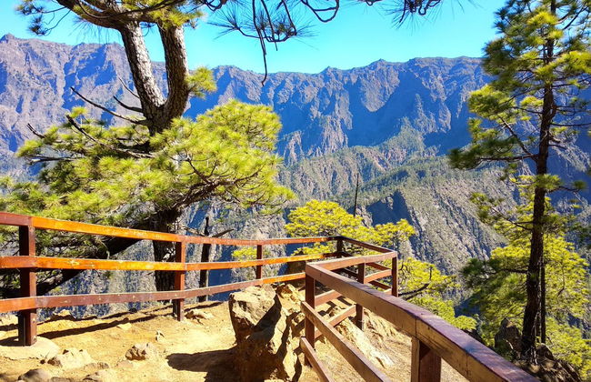 La Palma & Tajogaite Volcano Day Trip - Foto 3