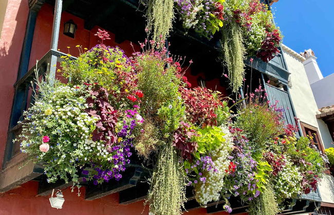 La Palma & Tajogaite Volcano Day Trip - Foto 6