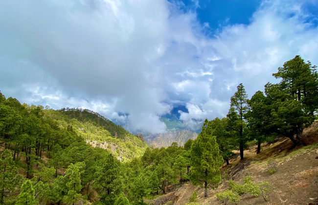 La Palma & Tajogaite Volcano Day Trip - Foto 8