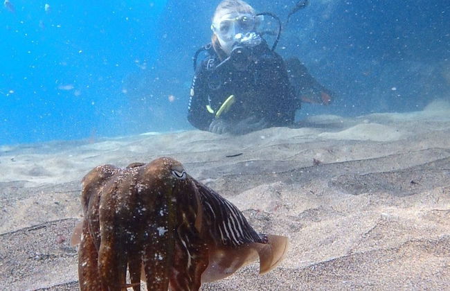 Bautismo de buceo en Costa Teguise - Foto 2