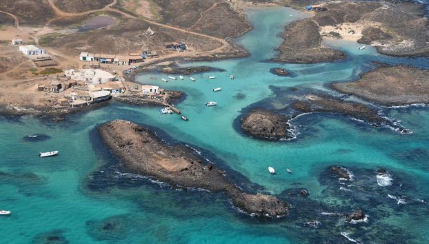 Whale Watching Boat Tour - Foto 2