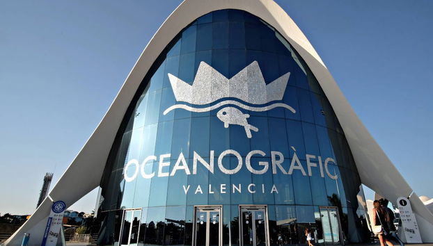 Excursão a Valência + Oceanogràfic e Hemisfèric - Foto 5