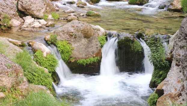 Tour por el Parque de las Sierras de Cazorla, Segura y Las Villas - Foto 4