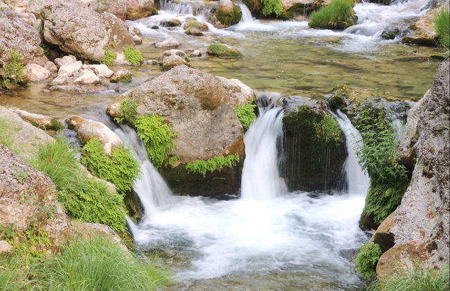 Visite du Parc des Sierras de Cazorla, Segura et Las Villas - Photo 4