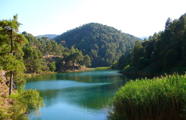 Visite du Parc des Sierras de Cazorla, Segura et Las Villas - Photo 4