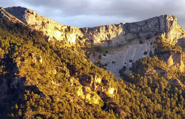 Visite du Parc des Sierras de Cazorla, Segura et Las Villas - Photo 3