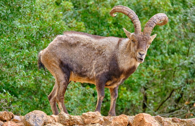Visite du Parc des Sierras de Cazorla, Segura et Las Villas - Photo 5