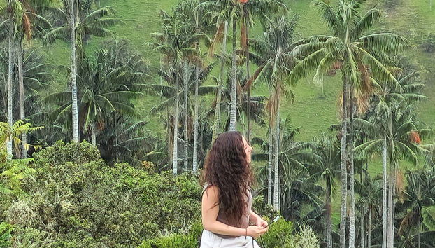 Excursión privada al santuario de palmas de cera de Tochecito - Foto 2
