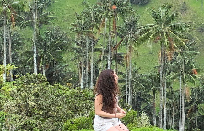Excursión privada al santuario de palmas de cera de Tochecito - Foto 2