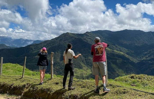 Excursión privada al santuario de palmas de cera de Tochecito - Foto 6