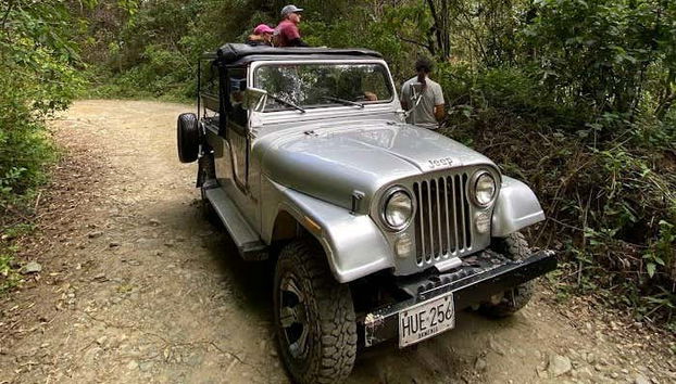 Excursión privada al santuario de palmas de cera de Tochecito - Foto 5