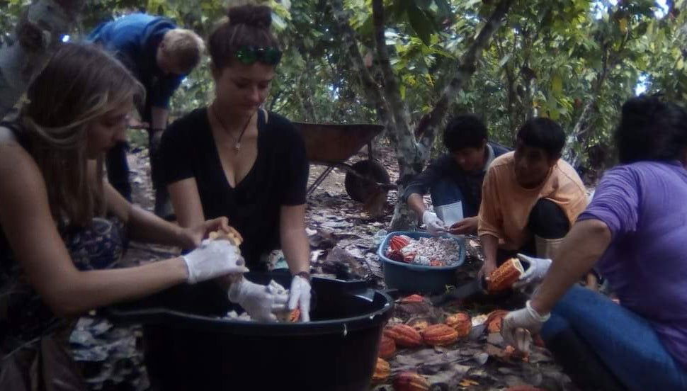 Oficina de chocolate em Puerto Inca - Foto 1
