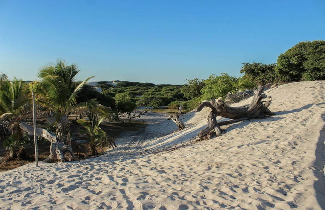 Trilha privada pelas lagoas Azul e Bonita - Foto 3