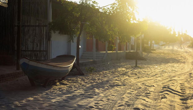 Ruta privada de trekking desde Barreirinhas hasta Atins - Foto 3