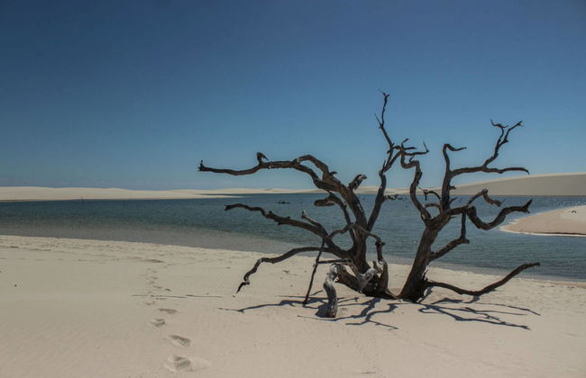 Trilha privada pelas lagoas Azul e Bonita - Foto 2