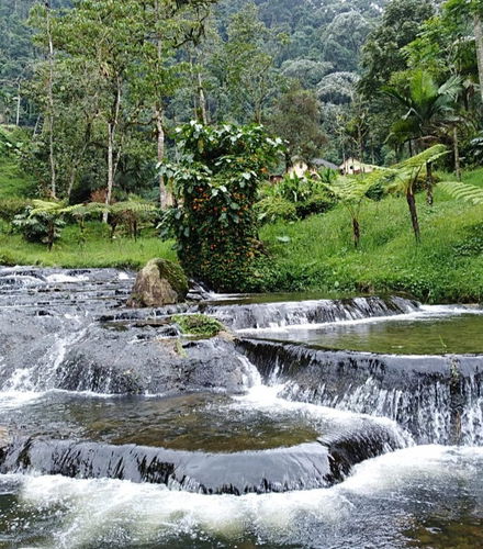 Photo – Santa Rosa de Cabal Hot Springs Private Day Trip