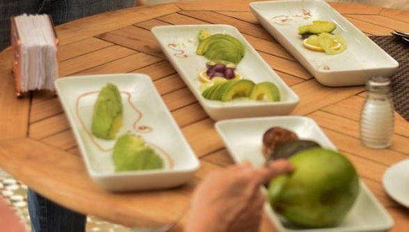 Manizales Avocado Tour - Photo 1