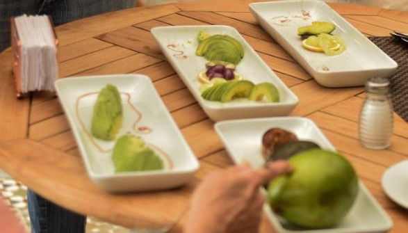Manizales Avocado Tour - Photo 1