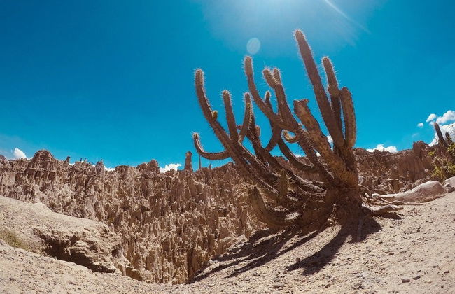 Tour privado por La Paz + Valle de la Luna - Foto 5