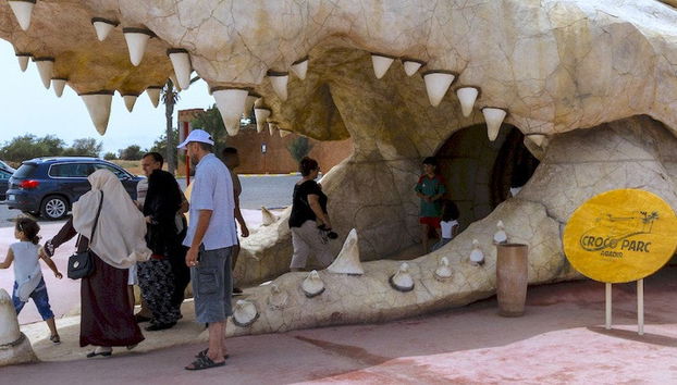 Crocoparc Trip - Photo 4