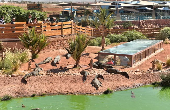 Crocoparc Trip - Photo 1