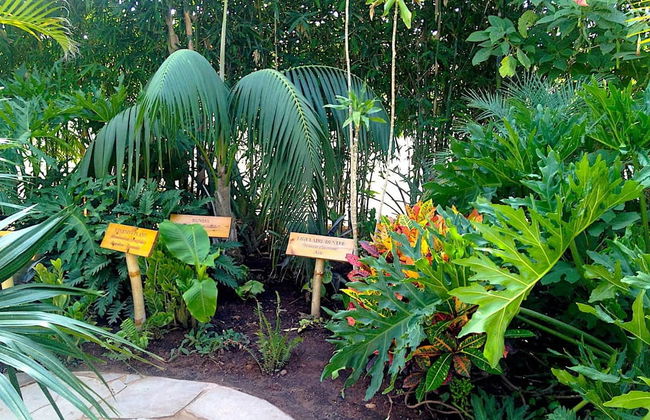 Crocoparc Trip - Photo 3