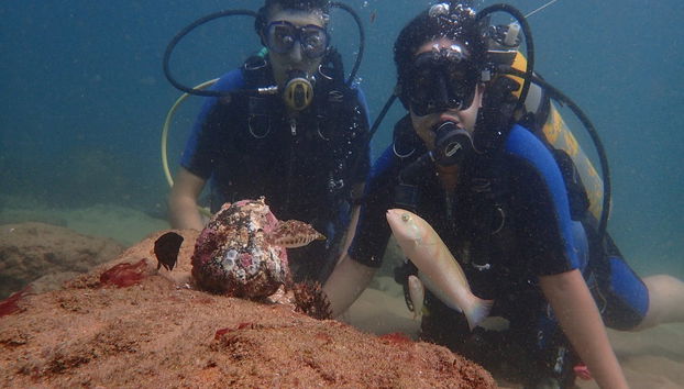 Baptême de plongée à Porto da Barra - Photo 3