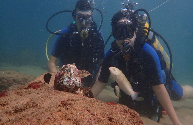 Immersione per principianti a Porto da Barra - Foto 3