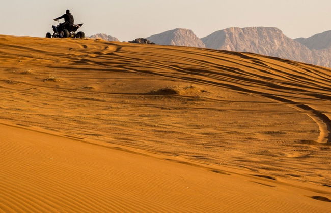 Tour de quadriciclo pela Reserva Nacional de Paracas - Foto 7