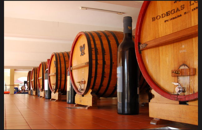 Wine Tasting and Winery Tour - Photo 1