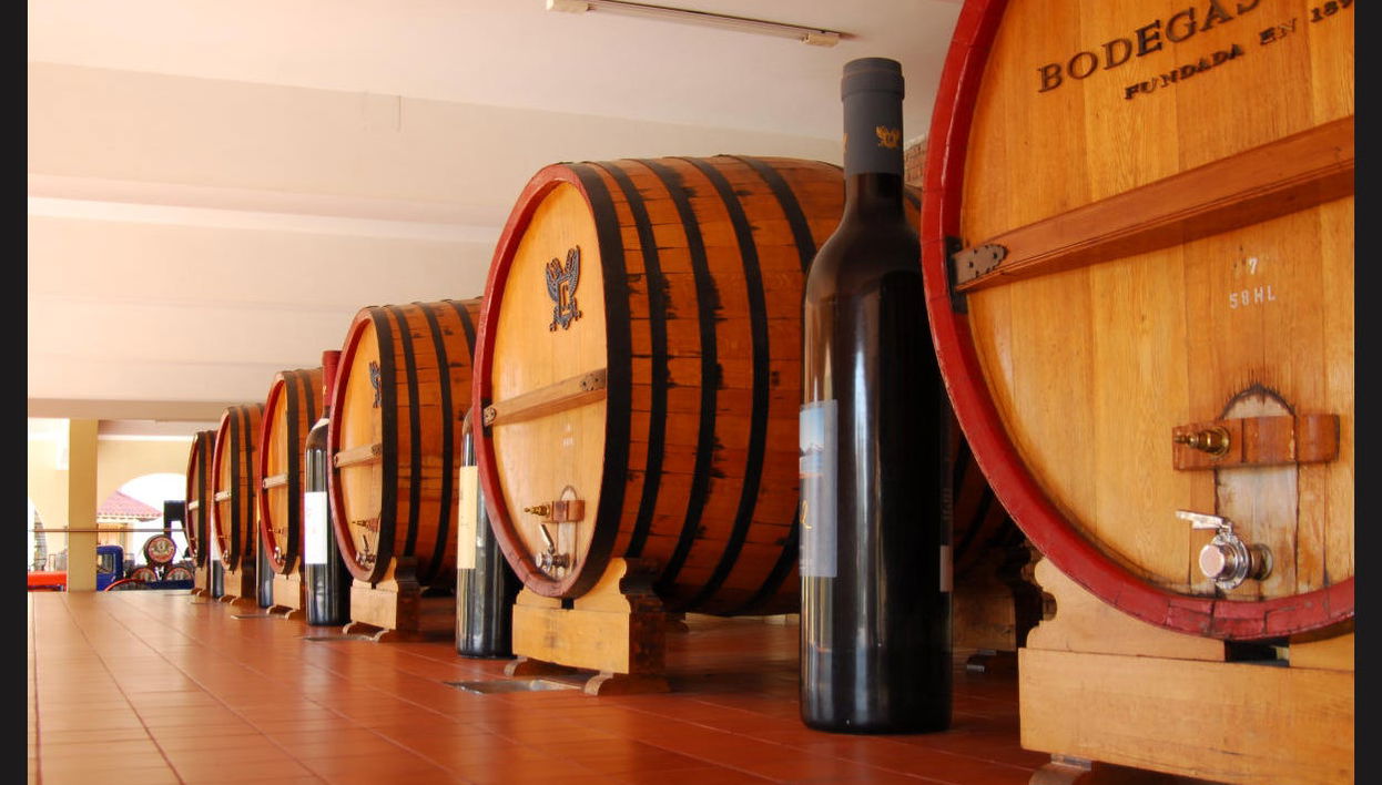 Wine Tasting and Winery Tour - Photo 1