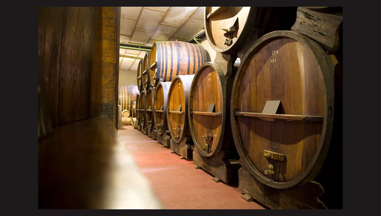 Tour dei vigneti e delle cantine - Foto 1