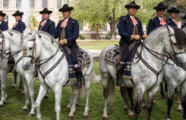 Espectáculo ecuestre en Jerez de la Frontera - Foto 8