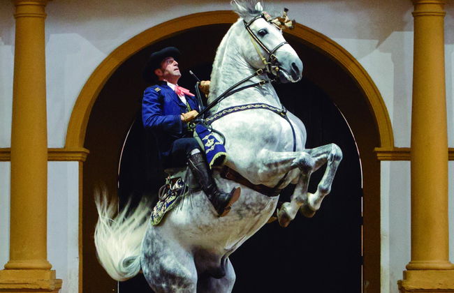 Espectáculo ecuestre en Jerez de la Frontera - Foto 7