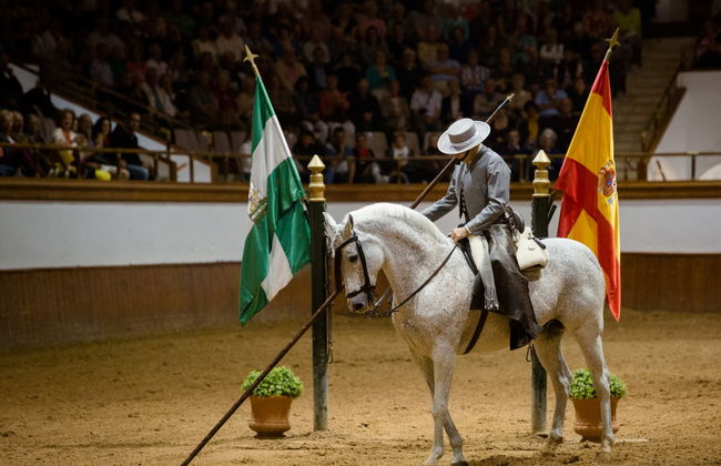 Espectáculo ecuestre en Jerez de la Frontera - Foto 4
