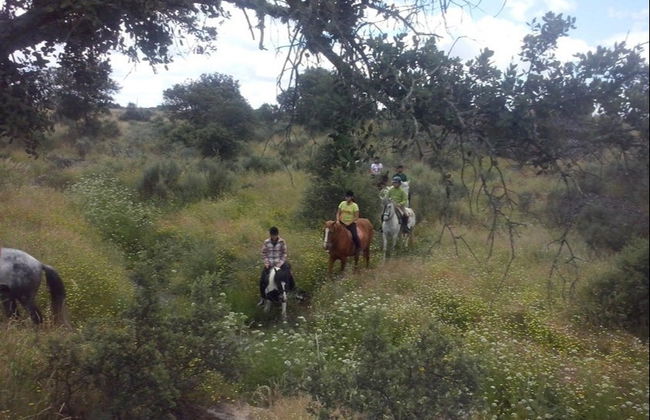 Paseo a caballo por el campo de Cáceres - Foto 4