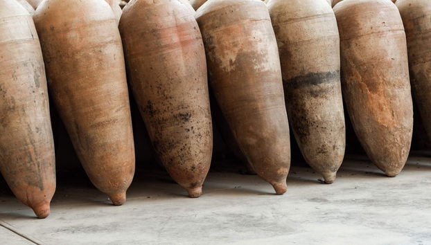 Tour del pisco y el vino - Foto 3