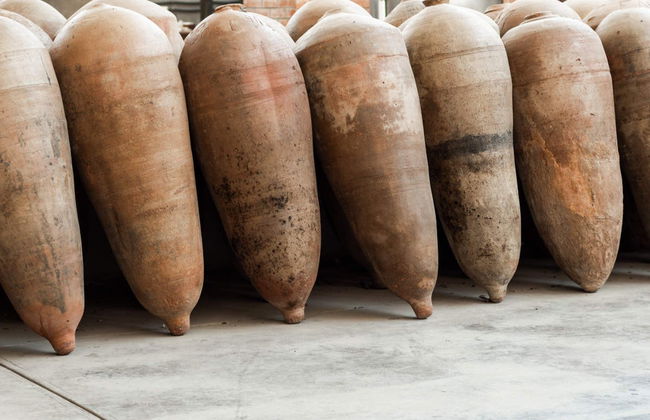 Tour del pisco y el vino - Foto 3