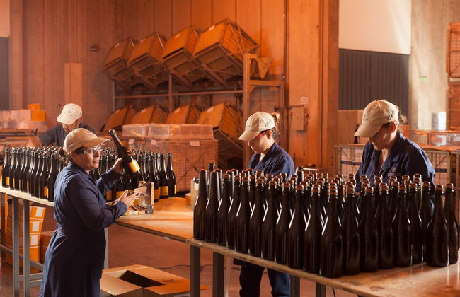 Lujan de Cuyo Wineries Private Tour + Sparkling Wine Tasting - Photo 6