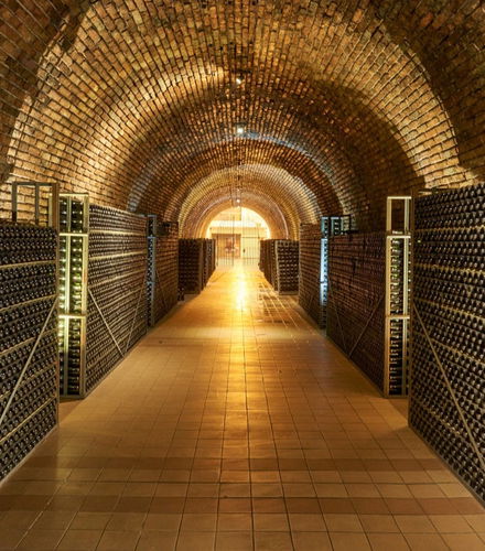 Foto de Tour privado de bodegas por Luján de Cuyo + Cata de espumosos