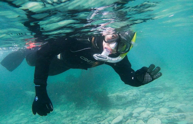 Snorkel en el Canal Beagle - Foto 5