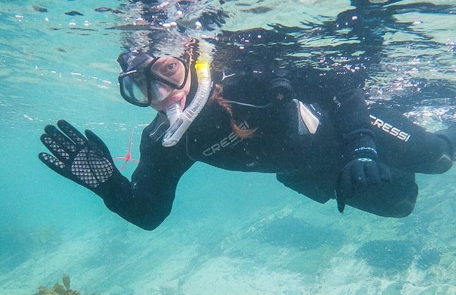 Snorkel en el Canal Beagle - Foto 8