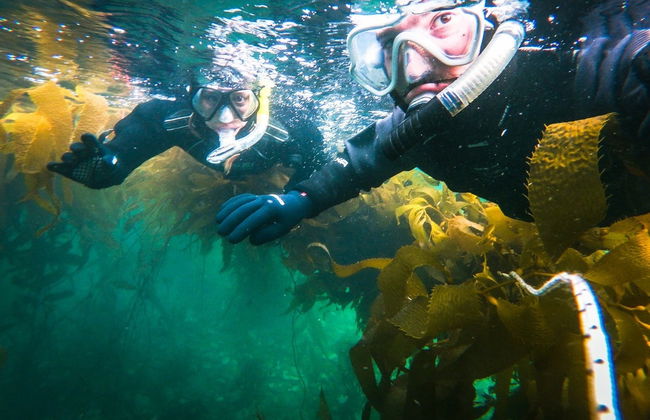 Snorkel en el Canal Beagle - Foto 3